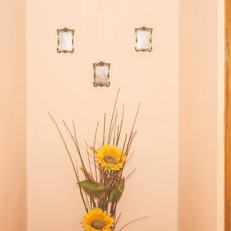 別荘 Sun House El Amparo